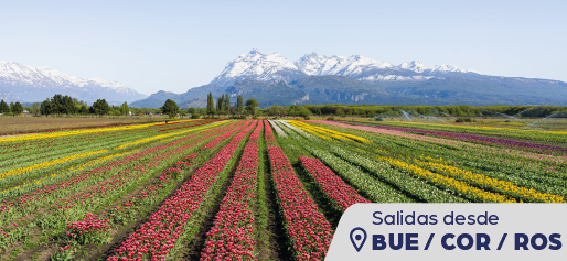 Bariloche con Visita Campo de Tulipanes